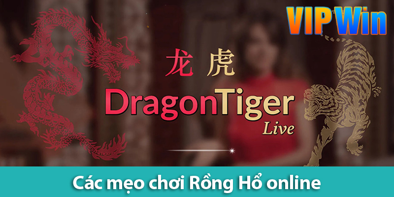 Mẹo chơi Rồng Hổ online - Bí quyết chiến thắng từ các cao thủ