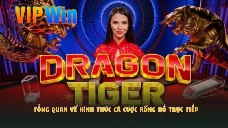 Tổng quan về hình thức cá cược Rồng Hổ trực tiếp